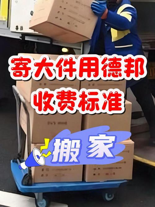 2024年11月21日 第55页