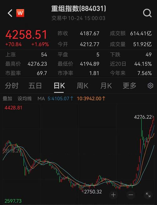 2024年11月23日 第13页