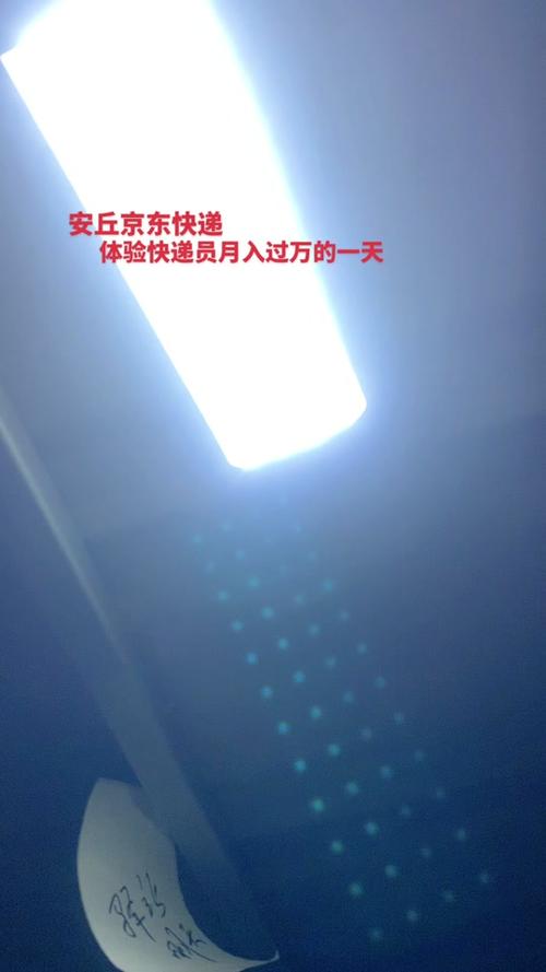2024年11月24日 第20页