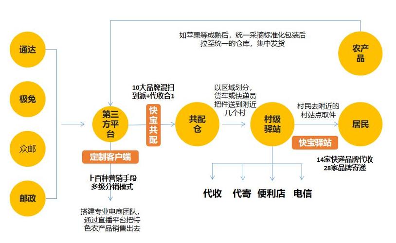 2024年11月25日 第44页