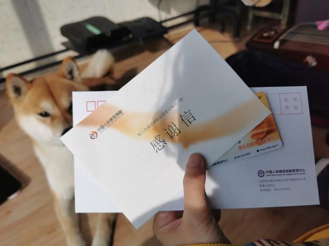 器官捐献收费标准,物流专线直达_123随叫随到