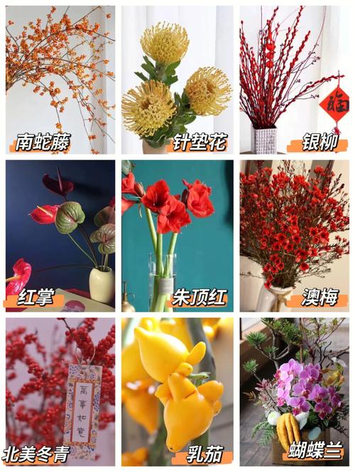 春节临近年宵花热销,专业的一站式物流信息网_123随叫随到