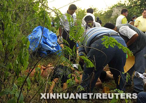 尸体花15年首次绽放,让发货找车找物流更简单_123随叫随到