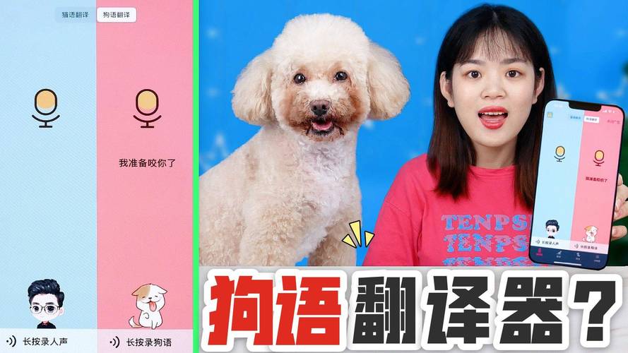 学狗语驯狗被咬穿脸,天天发车准时送达_123随叫随到