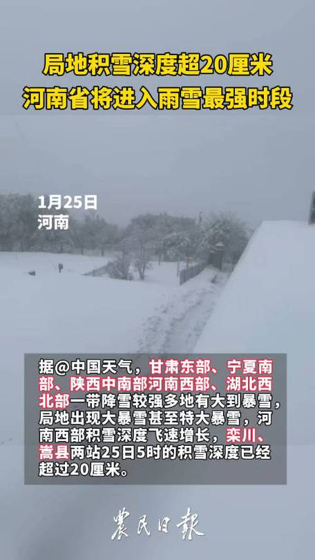 河南积雪深度超20cm,快递单号查询_123随叫随到