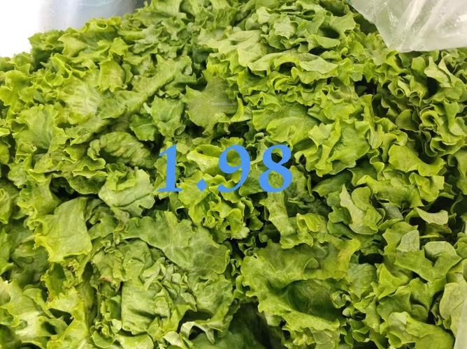 2025年2月 第529页