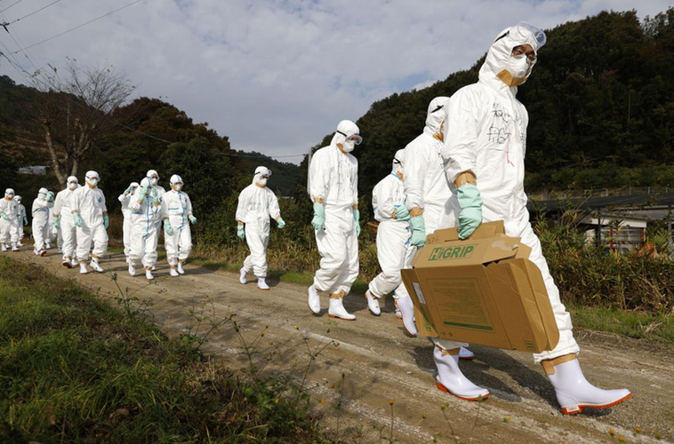 日本患流感就医经历,仓配一体,时效速达