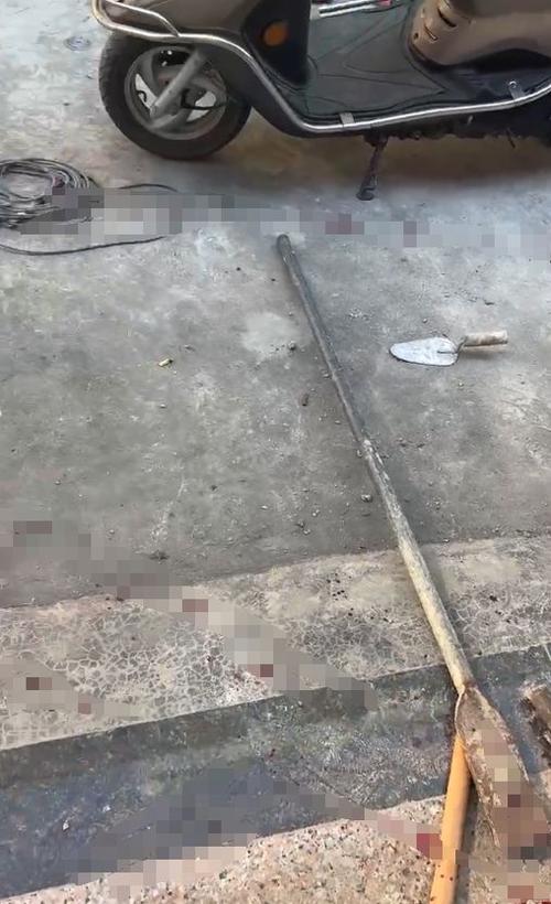 吵架去世邻居被判赔,专业的一站式物流信息网_123随叫随到