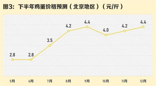 蛋价飞涨有人养鸡,物流专线直达_123随叫随到