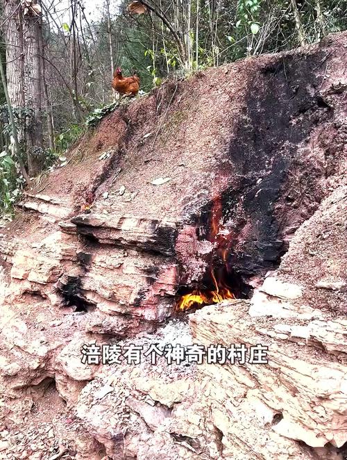 接消防水给游客煮饭,物流专线直达_123随叫随到