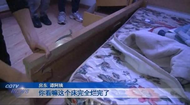 租客失联留下13只猫,仓配一体,时效速达