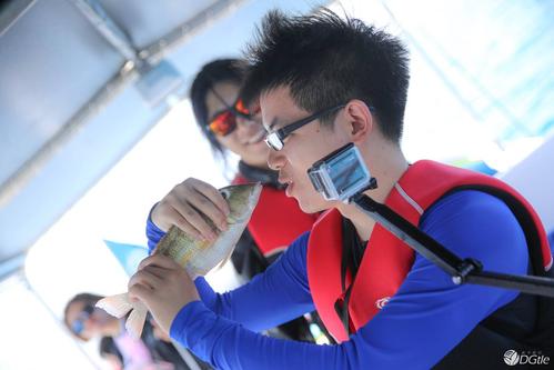 歌手与鲨鱼共游被咬,专业的一站式物流信息网_123随叫随到