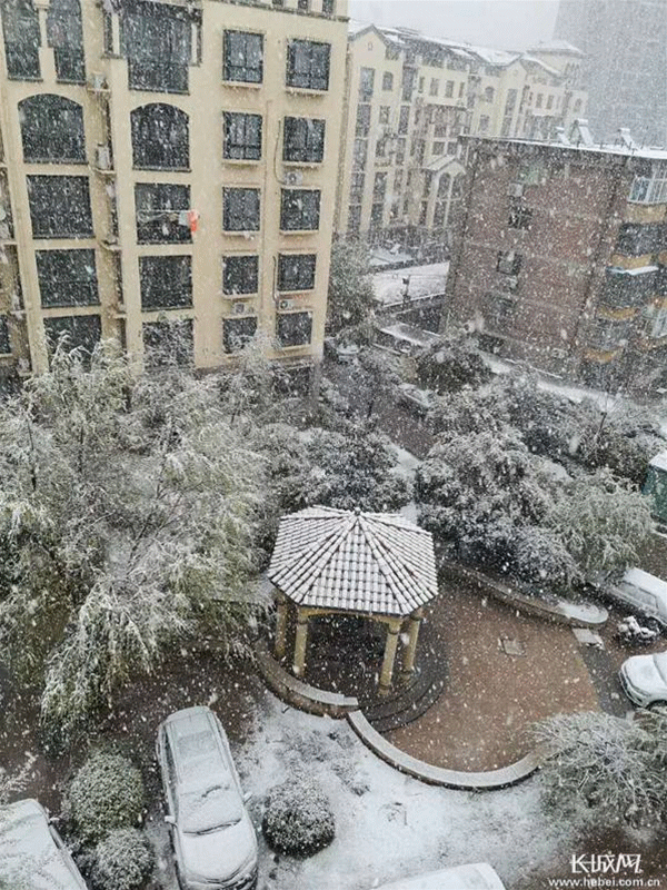 石家庄大雪,物流专线直达_123随叫随到