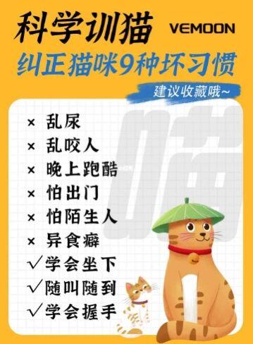 带狗取快递把猫打死,物流专线直达_123随叫随到
