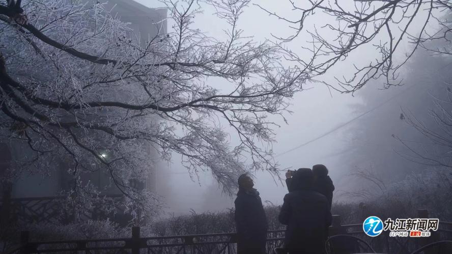 庐山变雾凇童话世界,快递单号查询_123随叫随到