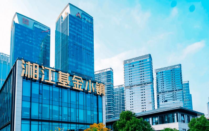 设创业投资引导基金,快递单号查询_123随叫随到