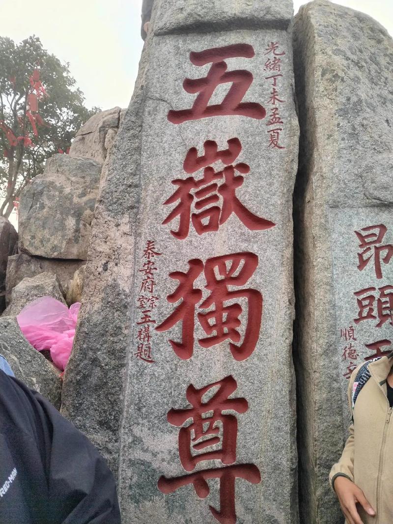 泰山陪爬年入30多万,物流专线直达_123随叫随到