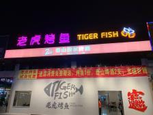 10只老鼠爬餐具觅食,快递单号查询_123随叫随到