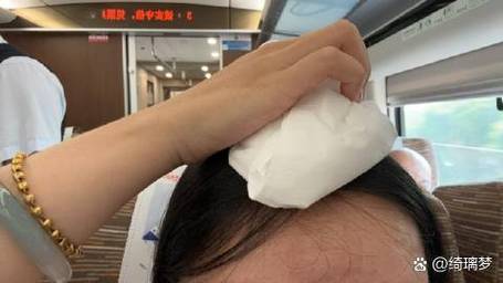 女子高铁被行李砸晕,物流专线直达_123随叫随到