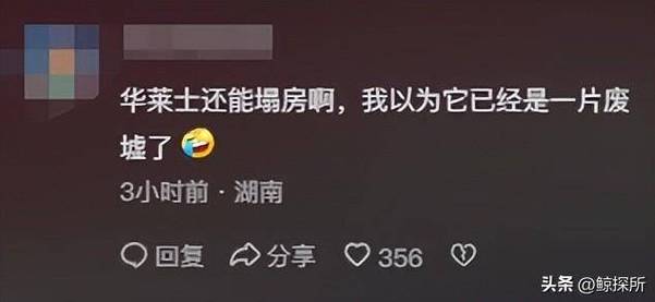 华莱士后厨蟑螂乱爬,ip138快递查询网_随叫随到