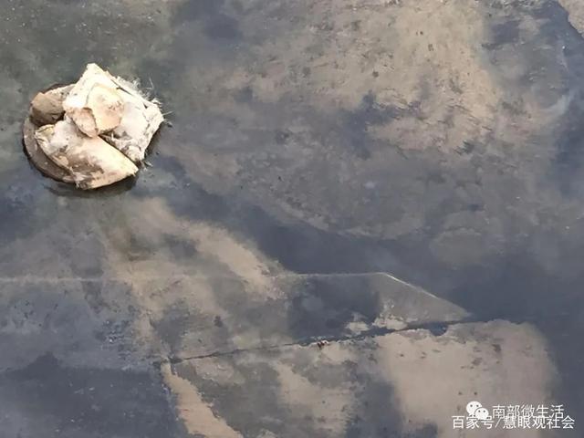 黄桃罐头厂污水横流,快递单号查询_123随叫随到