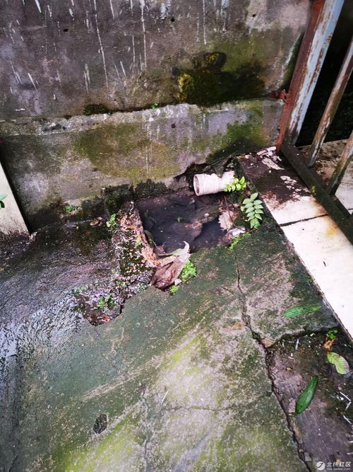 黄桃罐头厂污水横流,物流专线直达_123随叫随到