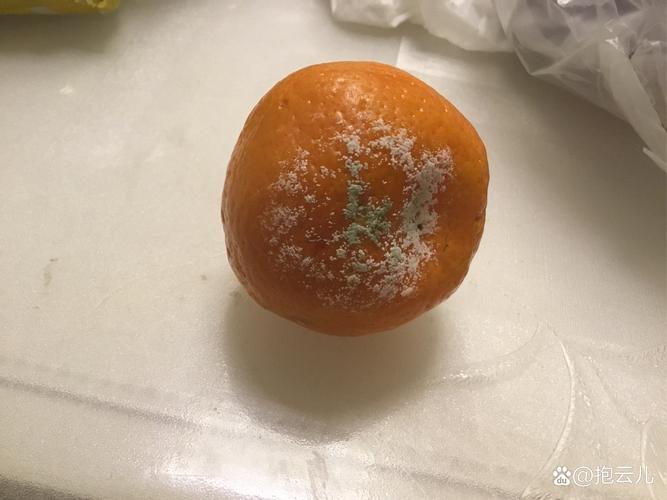 全国物流 第161页