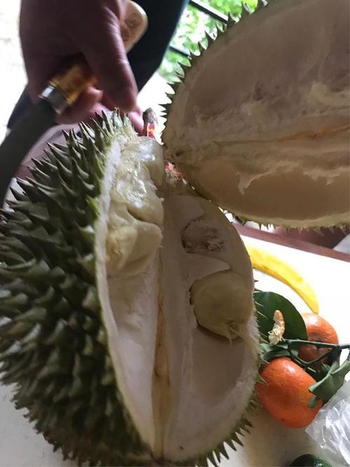 美国从韩国进口鸡蛋,快递单号查询_123随叫随到