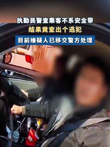 逃犯驾车冲撞民警,让发货找车找物流更简单_123随叫随到