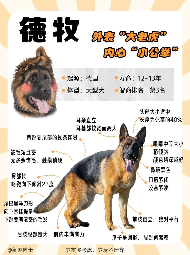 跨境出海 第145页