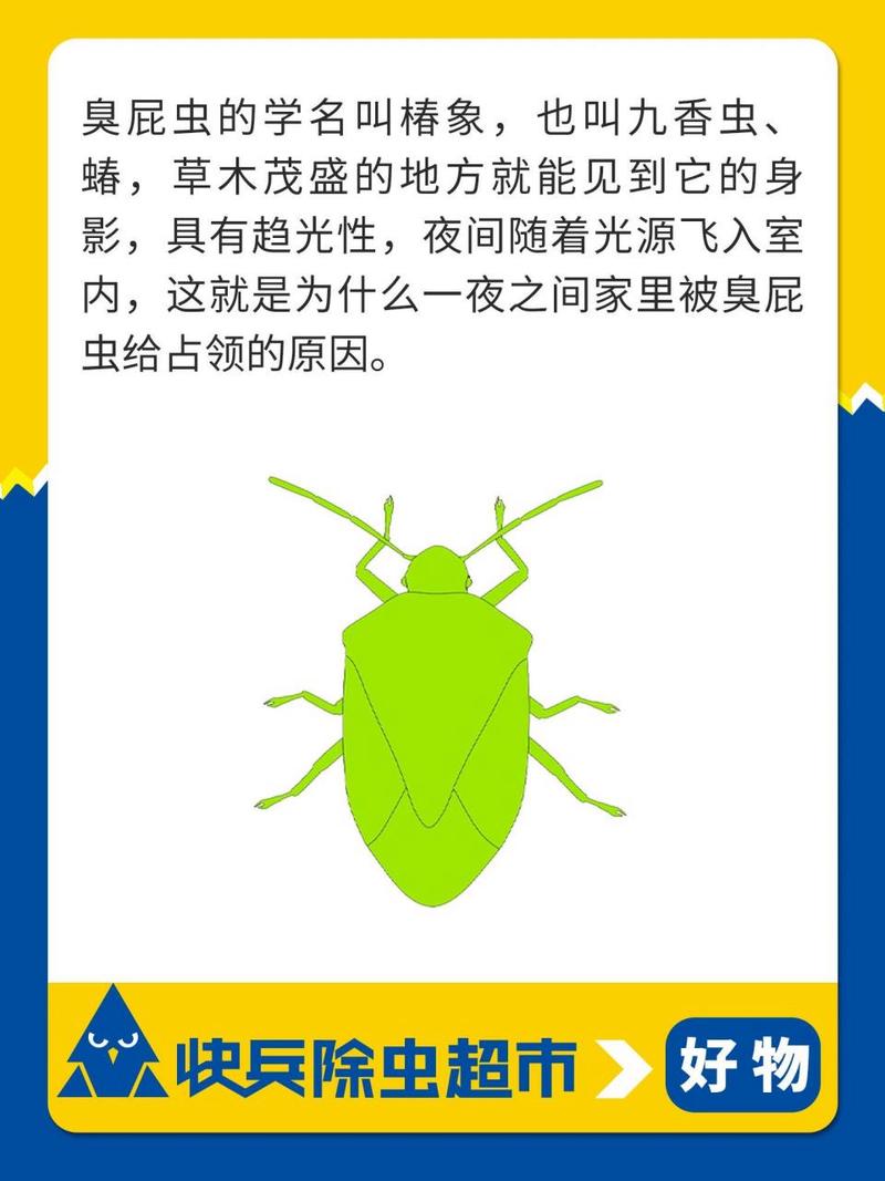 臭屁虫虫卵千万别碰,仓配一体,时效速达