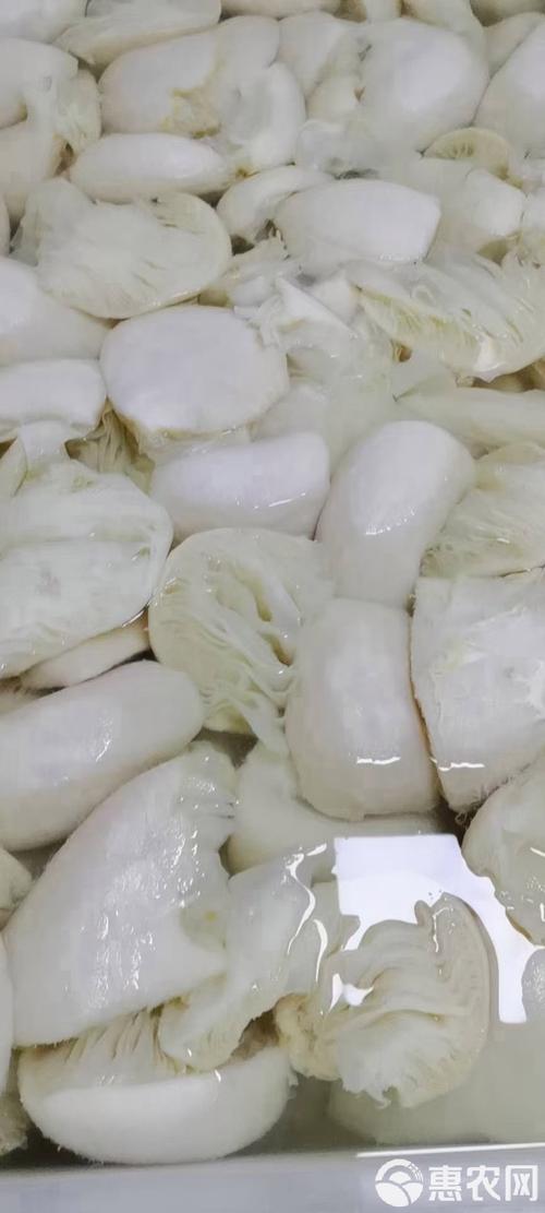 接8吨毛肚订单报警,物流专线直达_123随叫随到