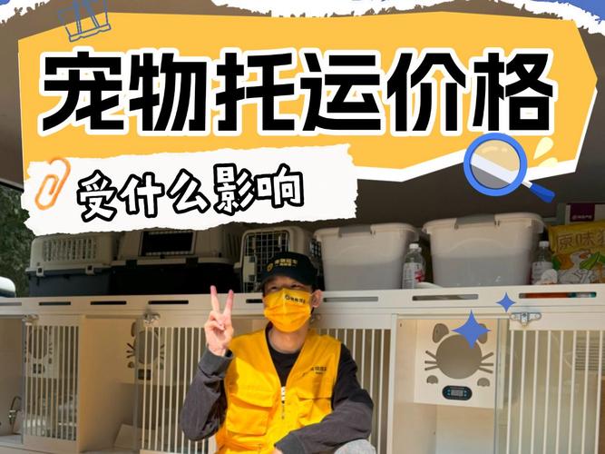 饲养异宠背后的风险,仓配一体,时效速达