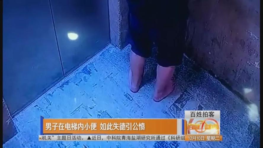 小区电梯内被狗咬伤,上门取货_123随叫随到