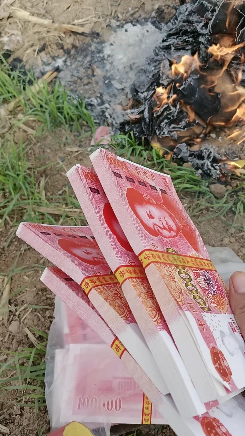 上坟引山火烧67只羊,ip138快递查询网_随叫随到