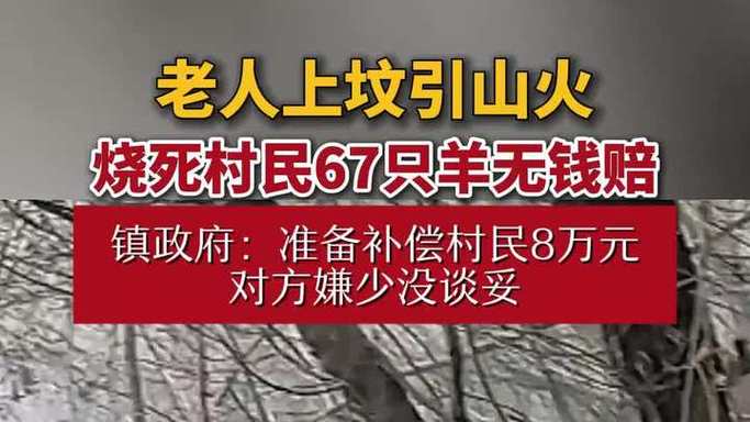 上坟引山火烧67只羊,物流专线直达_123随叫随到