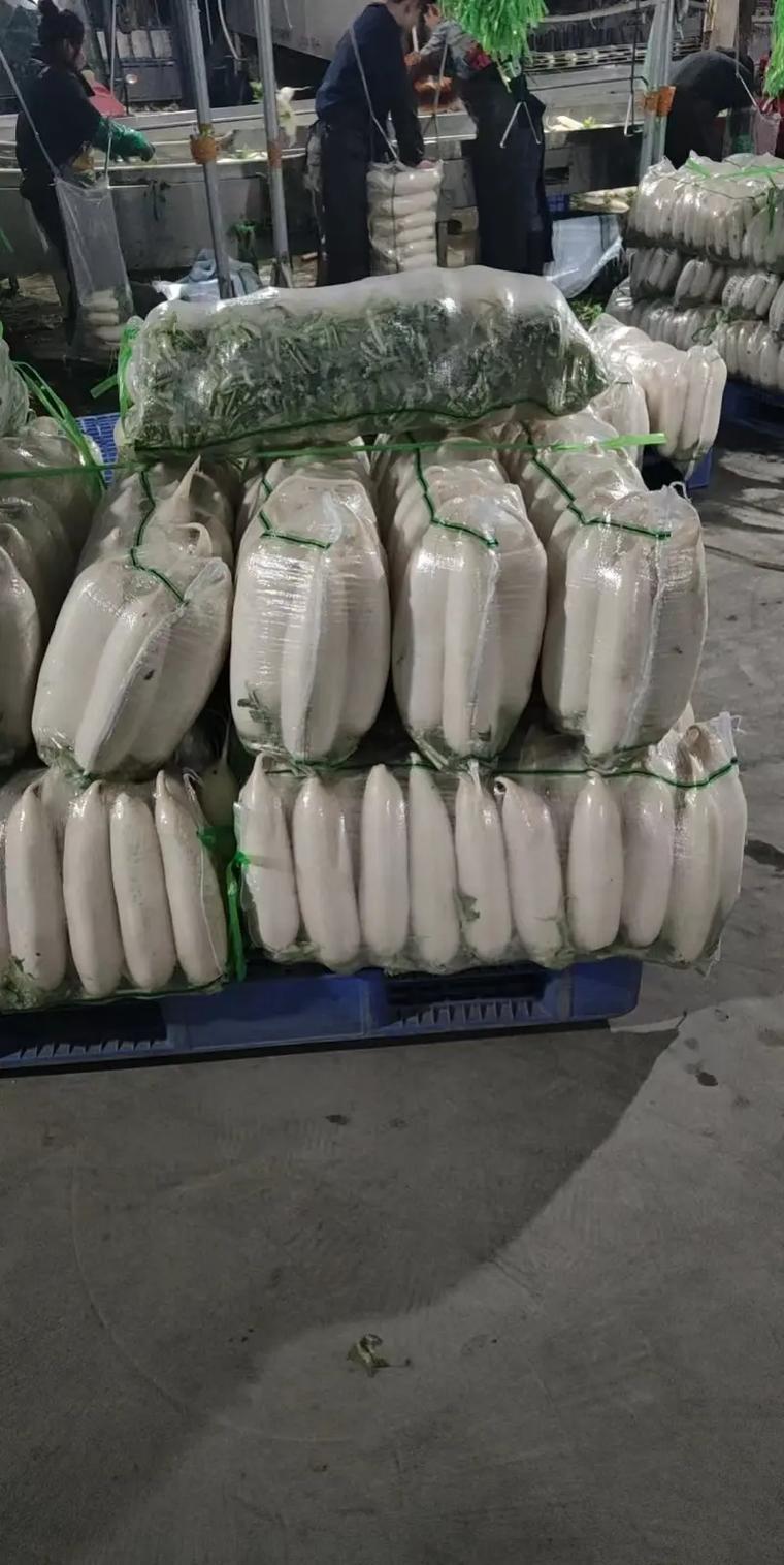 公务就餐8人喝白酒,天天发车准时送达_123随叫随到