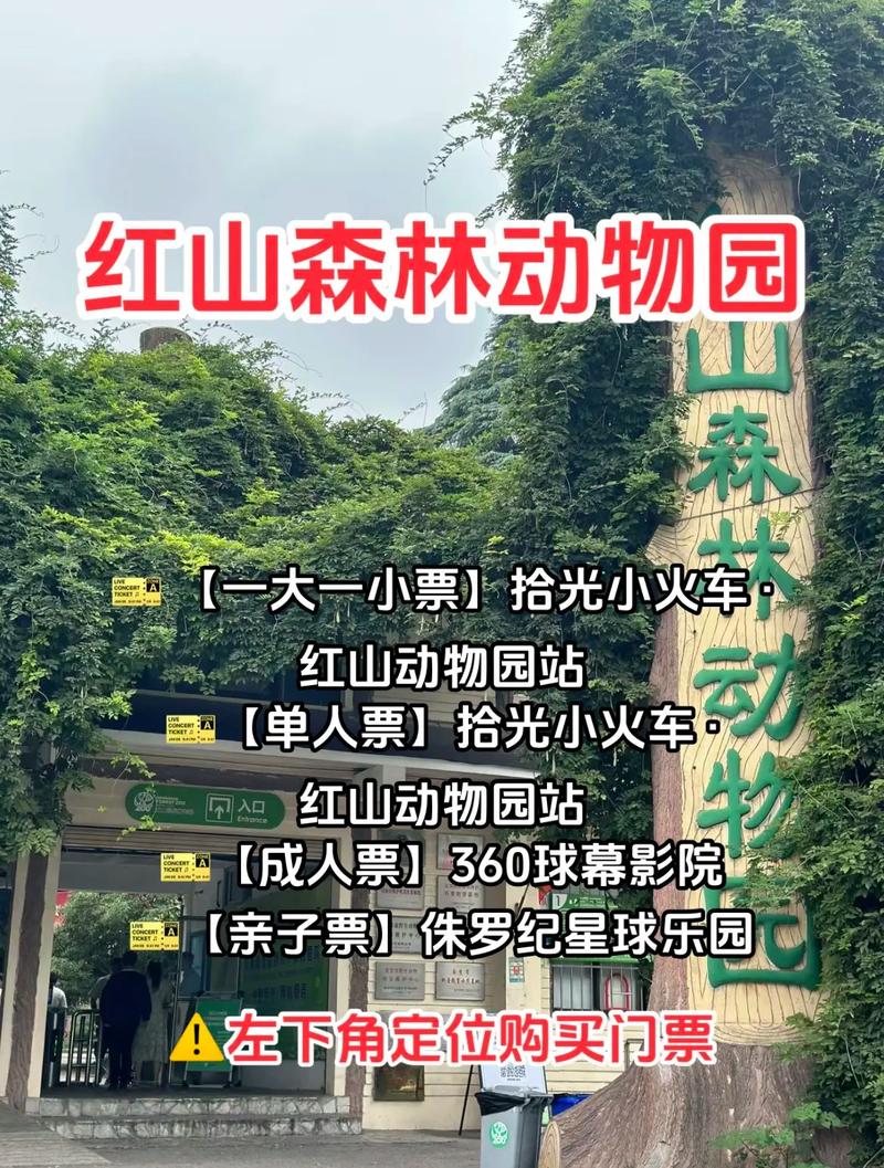 南京红山动物园爆火,天天发车准时送达_123随叫随到