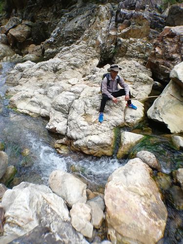 驴友登山下撤后离世,快递单号查询_123随叫随到