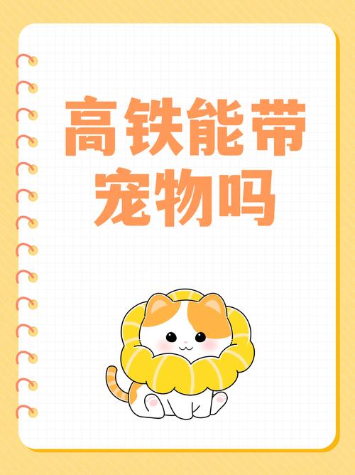 宠物猫狗可坐高铁了,天天发车准时送达_123随叫随到