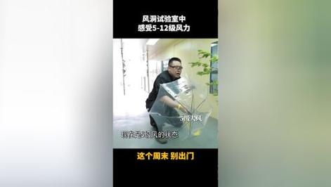 十级大风是什么感受,物流专线直达_123随叫随到