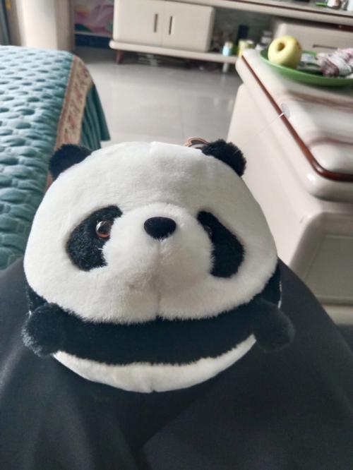 1只熊猫玩偶80美元,专业的一站式物流信息网_123随叫随到