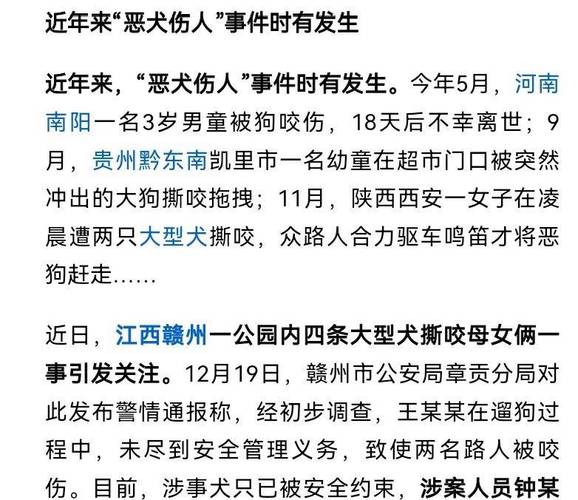 7岁男孩遭3只狗撕咬,ip138快递查询网_随叫随到