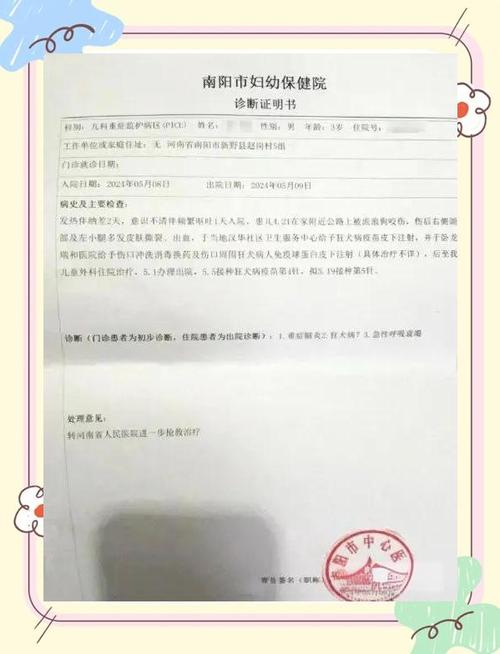 7岁男孩遭3只狗撕咬,快递单号查询_123随叫随到