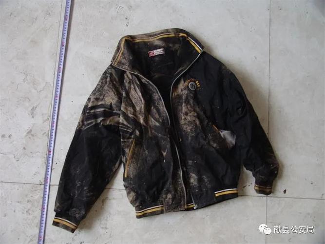 树林中发现无名男尸,专业的一站式物流信息网_123随叫随到