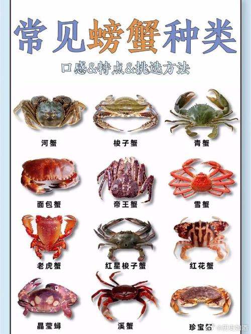 海鲜市场买到毒螃蟹,专业的一站式物流信息网_123随叫随到