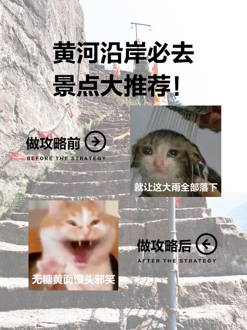 黄河水不黄了,上门取货_123随叫随到
