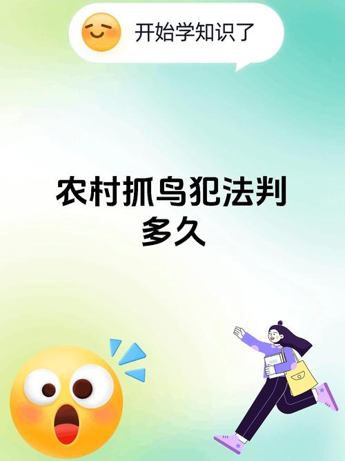 多只二级保护鸟撞死,上门取货_123随叫随到