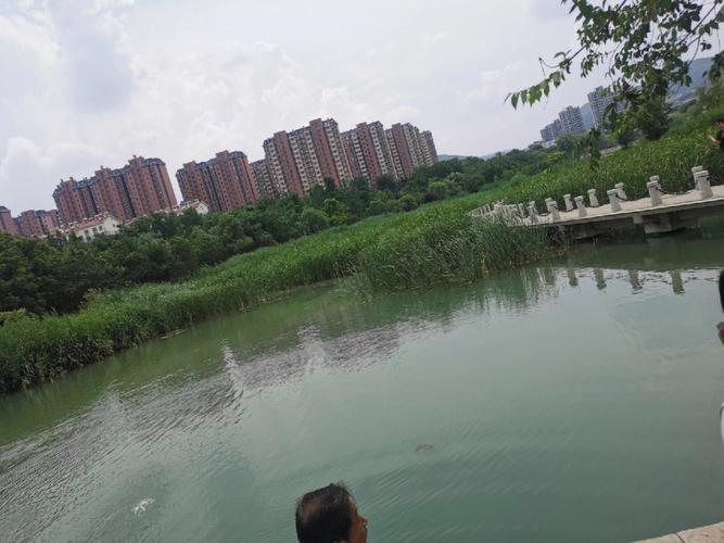 00后女生回应守水库,快递单号查询_123随叫随到