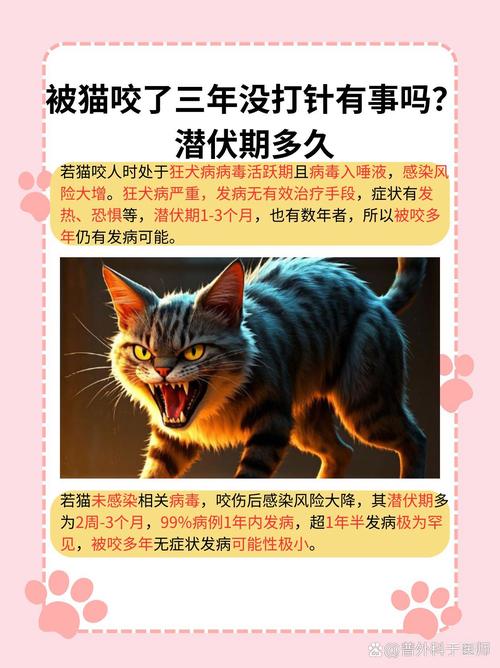 猫狂咬主人后被放生,物流专线直达_123随叫随到